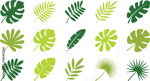 Collection of tropical leaves in various shapes and shades of green isolated on a white background perfect for summer and nature themed designs