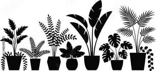 Elegant silhouette illustration of various potted houseplants perfect for interior design botanical themes and adding a touch of greenery to any project