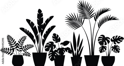 Silhouette illustration of assorted potted house plants including fern monstera bird of paradise and palm arranged together on a white background
