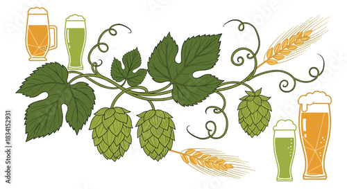 Vintage-style illustration of beer ingredients including green hops on a vine golden barley ears and various types of beer glasses.