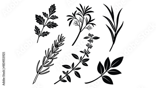 A collection of different herbs and plants in black and white style