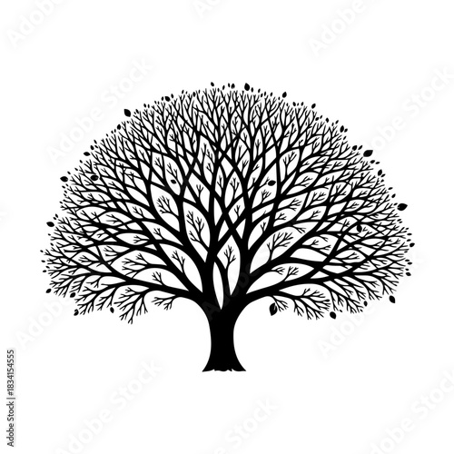 Black silhouette of a deciduous tree isolated on transparent background