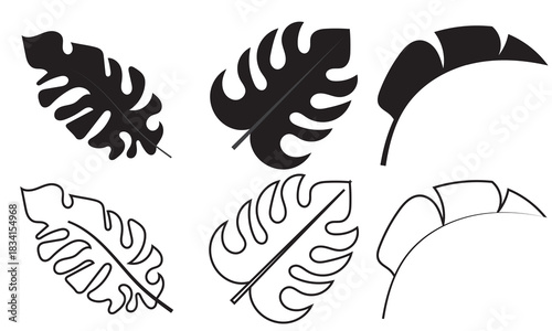 Tropical Leaf Silhouettes for Design Projects. Diverse tropical leaf silhouettes ideal for botanical illustrations, nature graphics, summer themes, and creative design backgrounds.

