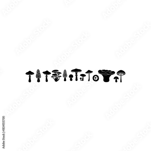 Vector mushroom silhouettes collection: assorted fungi types for nature and food design