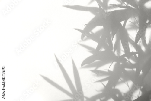 Natural bamboo shadow on white cloth background. Leaf silhouette color of 2026 year cloud white