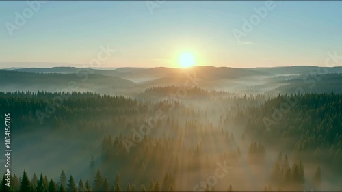 Sunrise over misty forest landscape with sunlight filtering through fog, morning light rays creating peaceful nature scene and atmospheric hills view