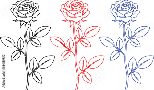 Three stylized roses in black red and blue outline on white background