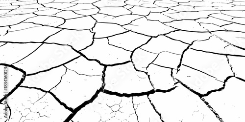 High-contrast cracked earth texture with bold black fracture lines on a clean white background, ideal for abstract backgrounds, design overlays, and minimalist graphic projects. Perfect for stock use.
