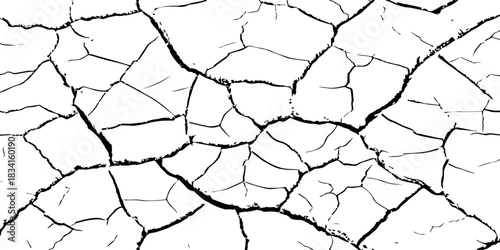 High-contrast cracked earth texture with bold black fracture lines on a clean white background, ideal for abstract backgrounds, design overlays, and minimalist graphic projects. Perfect for stock use.