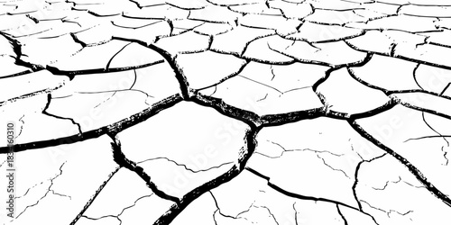 High-contrast cracked earth texture with bold black fracture lines on a clean white background, ideal for abstract backgrounds, design overlays, and minimalist graphic projects. Perfect for stock use.