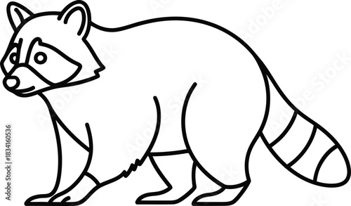 Simple line drawing of a raccoon standing on a white background