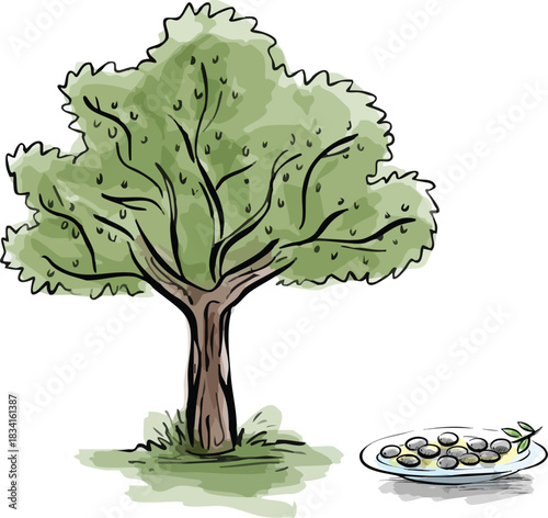 An olive tree and a plate of olives.
