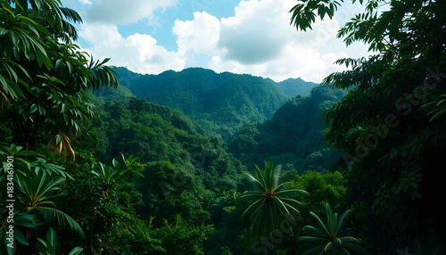 Rain forest in Central America, cinematic. White tone