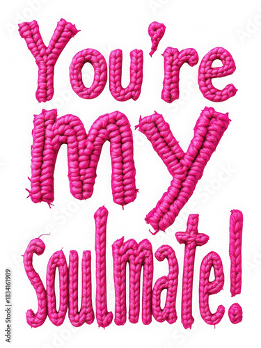 Embroidered You're MY Soulmate Text in Hot Pink isolated on transparent background. Textured 3D Yarn Cord Lettering. Playful Affectionate Whimsical Font.