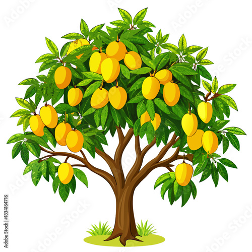 Lush illustrated mango tree laden with ripe yellow fruit for advertising