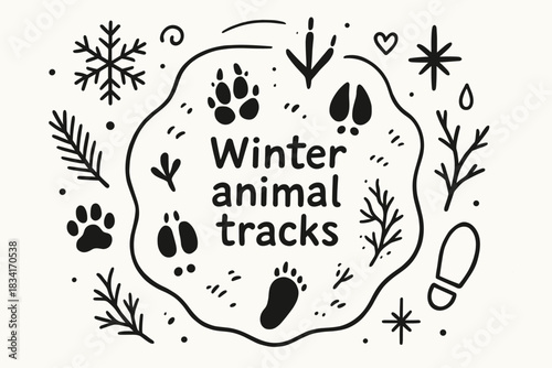 Winter Animal Tracks. Winter animal tracks. Hand-drawn doodle illustration of Winter animal tracks. Central