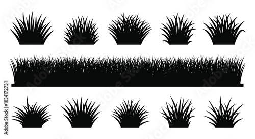 Grass silhouette vector illustration lawn garden landscape design