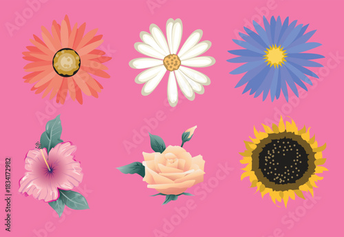 ash gerber isolated on white background