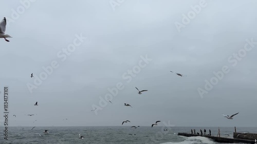 Slow motion footage of seagulls flock flying over rough Black Sea waves near a concrete pier in Odessa, Ukraine.