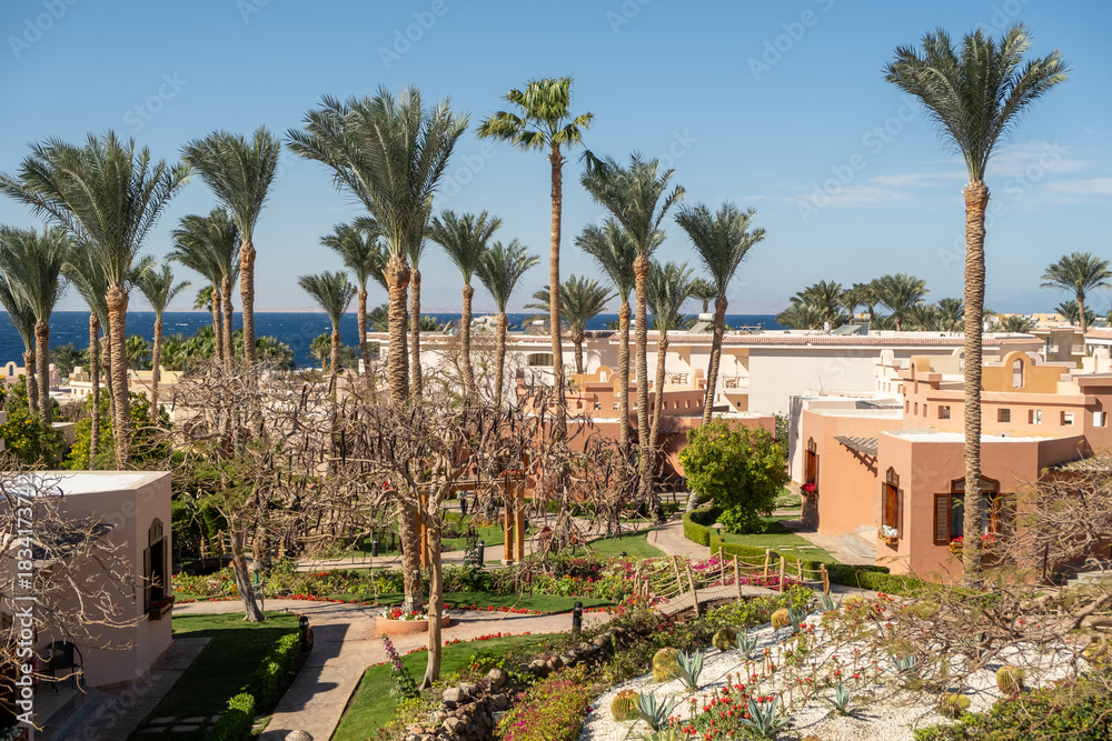 Fototapeta premium Beautiful Resort Landscape Featuring Palm Trees, Vibrant Gardens, and a View of the Ocean in Sunny Weather