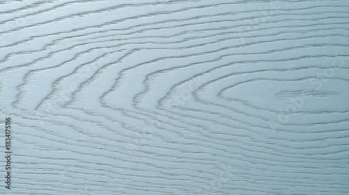 Birch wood grain texture in muted haze blue shade gentle natural pattern clean backdrop for creative use.