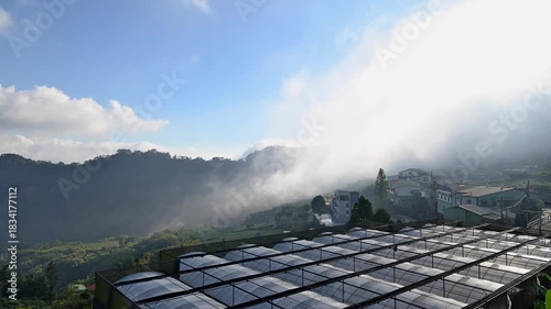 Early winter morning in Zhuci, Alishan. Mist rolls over forested hills and greenhouses under a crisp blue sky.