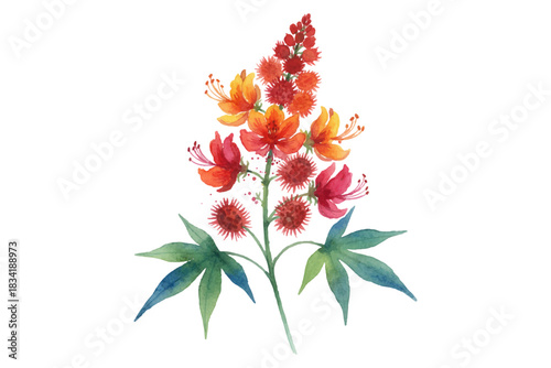 Vibrant watercolor flowering plant with red, orange, and yellow blossoms. Perfect for botanical art, packaging, decor, and nature-inspired designs. Bold, artistic, and eye-catching.