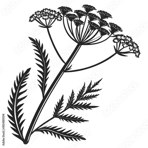 black and white silhouettes of flowers