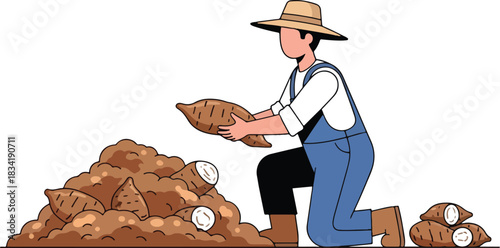 Farmer collecting freshly harvested sweet potatoes from a mound of dirt