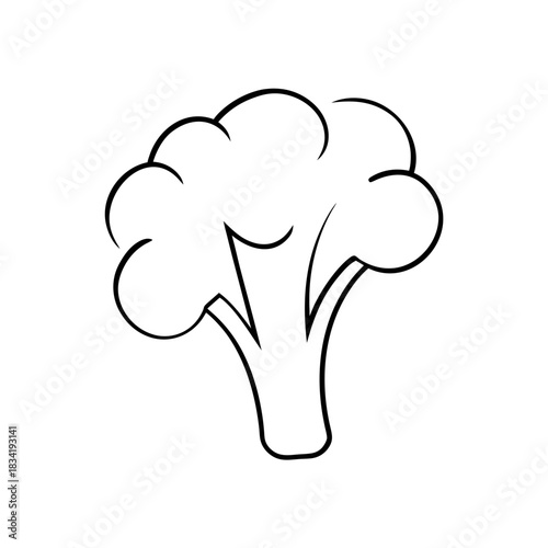 Illustration of a broccoli floret in black outline on transparent background silhouette