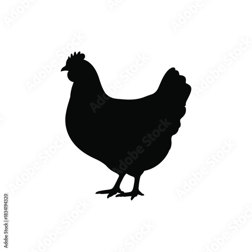 chicken black silhouette art vector design on a white background 
