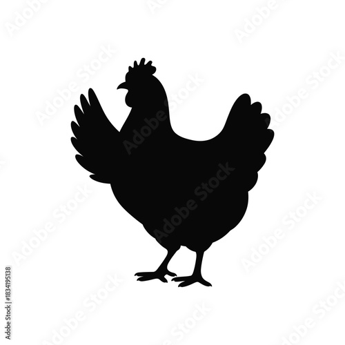 chicken black silhouette art vector design on a white background 