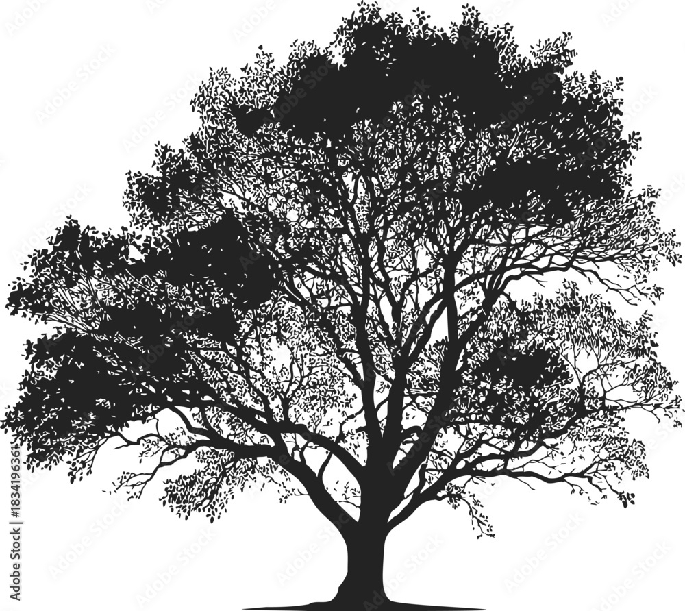 Fototapeta premium Tree silhouette sketch, hand drawn style with detailed branches and foliage. Vector illustration