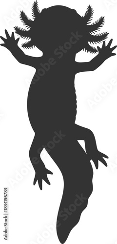 Black silhouette of an axolotl, a cute mexican salamander