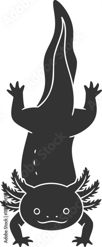 Cute axolotl silhouette illustration mexican walking fish