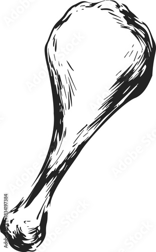 Chicken drumstick sketch hand drawn black and white isolated. Vector illustration