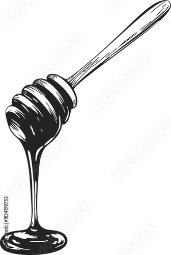 Honey dipper sketch hand drawn with honey dripping, isolated on white. Vector illustration