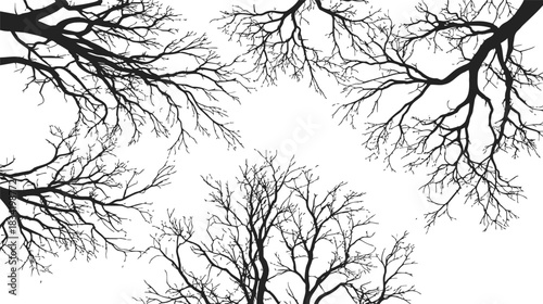 Bare tree branches sketch hand drawn silhouette on white background. Vector illustration