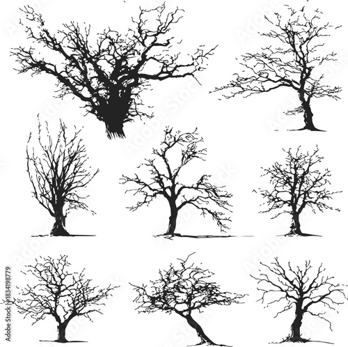 Bare tree silhouettes sketch, hand drawn, various leafless tree shapes and branches. Vector illustration