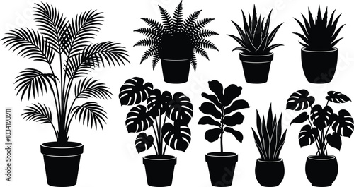 Elegant collection of silhouette houseplants in pots a botanical vector illustration for interior design landscaping and nature inspired creative projects black and white