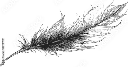 Feather sketch hand drawn detailed single feather with rough texture. Vector illustration