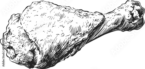 Chicken drumstick sketch hand drawn style detailed fried meat. Vector illustration
