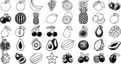 Hand-drawn fruits collection with various fresh and healthy produce, isolated vector sketch icons set. Outline doodle style illustrations including apple, banana, berries, tropical fruits.