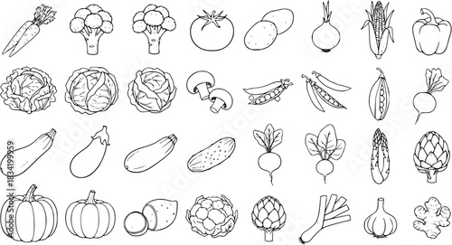 Vector Line Art of Vegetables Set, Collection of Black and White Outlines of Different Fresh Fruits and Vegetables, Great for Coloring Books and Educational Material