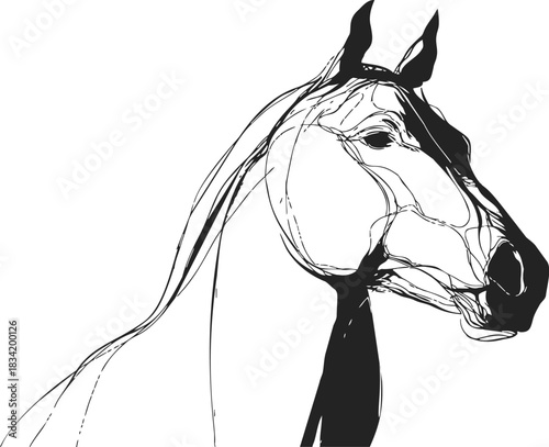 Horse head sketch hand drawn profile with flowing mane. Vector illustration