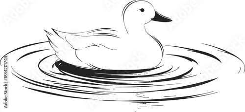 Duck sketch hand drawn swimming on water with ripples. Vector illustration