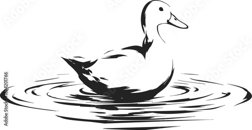 Duck sketch hand drawn swimming on water with ripples. Vector illustration