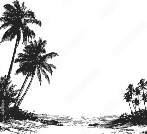 Palm trees beach sketch, hand drawn tropical coastline with ocean and foliage. Vector illustration