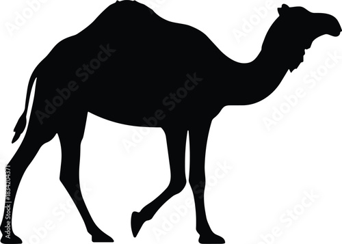 Walking Camel Silhouette – Dromedary Camel Side View Solid Black Desert Animal Vector Illustration Isolated on Transparent Background