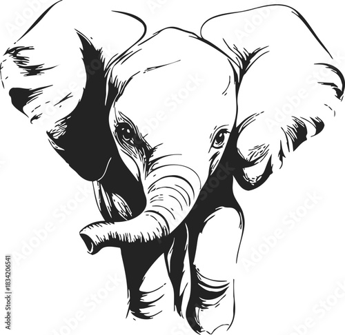 Elephant head sketch, hand drawn line art with expressive trunk and ears. Vector illustration